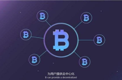 区块链支付平台,构建去中心化、安全高效的数字交易新生态