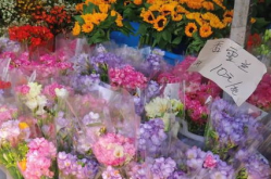 鲜花多少钱,品种、季节与市场动态一览
