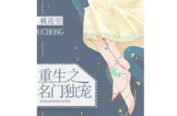 重生娱乐圈小说百度云,巅峰归来，霸占云端