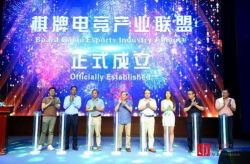 娱乐棋牌现,智慧竞技的魅力之旅