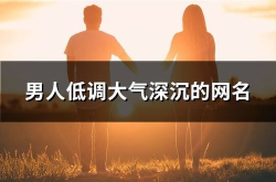 低调网名,诠释内涵与个性的艺术