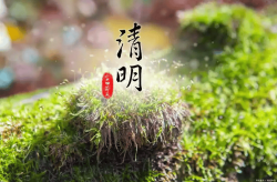 在线车辆违章查询网你知道怎么用手机查询车辆违章信息吗？非本人车牌号查方法