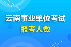 云南人事考试中心,助力人才选拔与职业发展