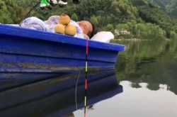 快乐垂钓,饵料选择、钓位技巧与心灵之旅